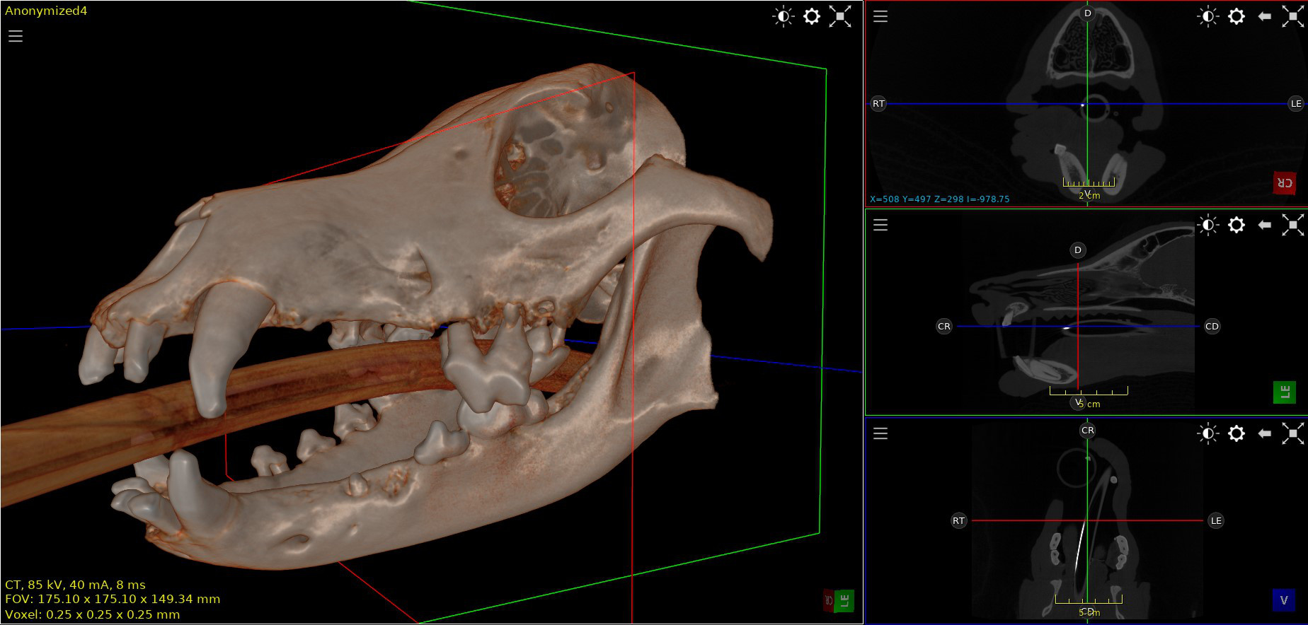 bad dental CT