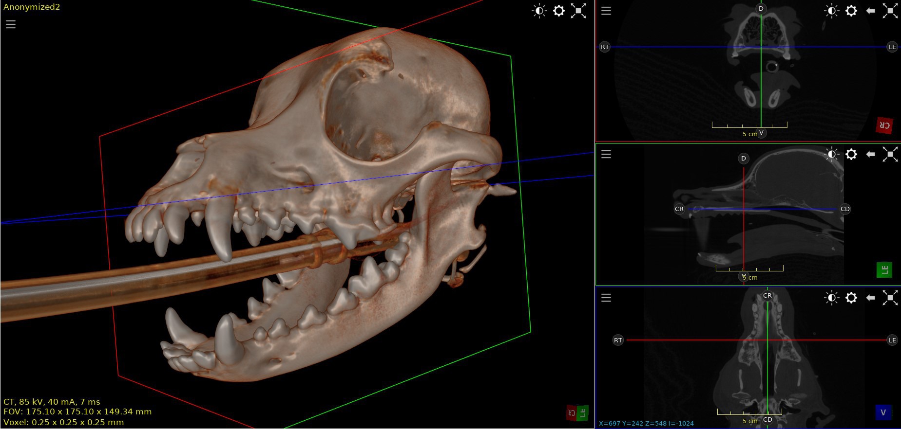 good dental ct