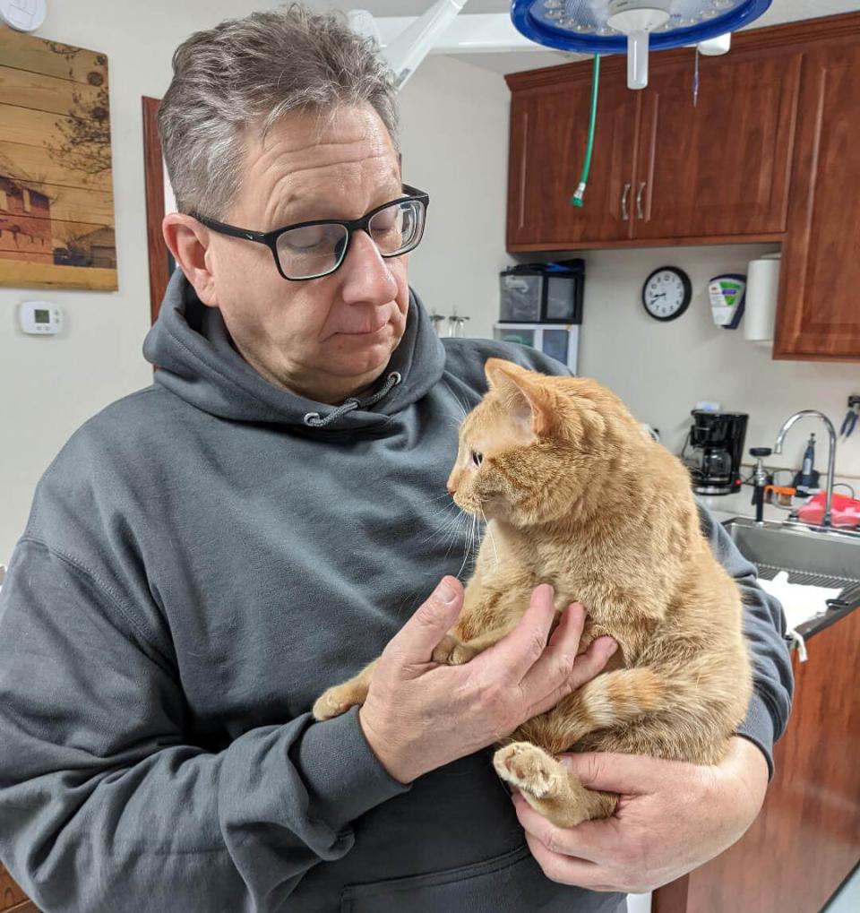 cat services