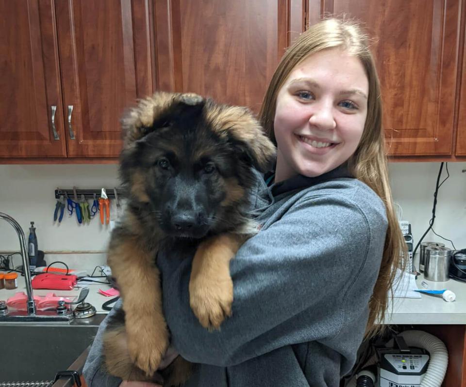 dog services pierz